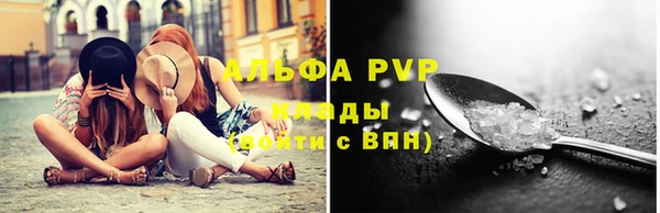 PSILOCYBIN Покров