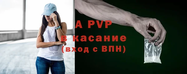 прущие грибы Переславль-Залесский