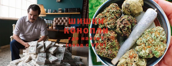PSILOCYBIN Покров