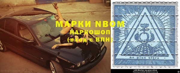 прущие грибы Переславль-Залесский