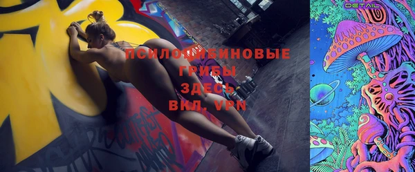 PSILOCYBIN Покров