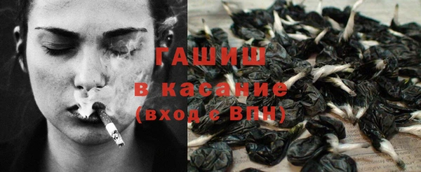 прущие грибы Переславль-Залесский
