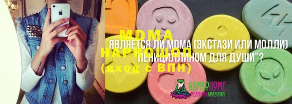 прущие грибы Переславль-Залесский