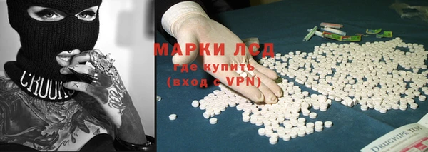 прущие грибы Переславль-Залесский